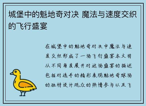 城堡中的魁地奇对决 魔法与速度交织的飞行盛宴